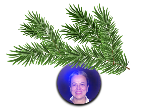 Cristina Bertini